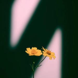 自慰摩擦大荫蒂毛茸茸
